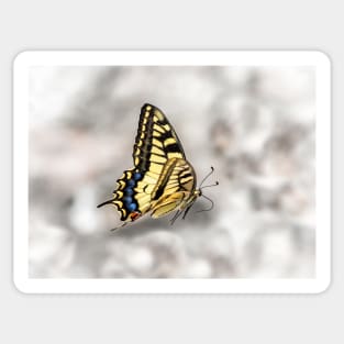 Beautiful Swallowtail Butterfly In Flight Sticker